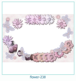 fiore cornice 238