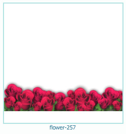 fiore cornice 257