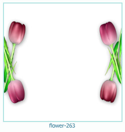 fiore cornice 263