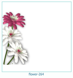 fiore cornice 264