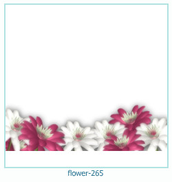fiore cornice 265