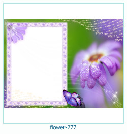 fiore cornice 277