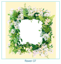 fiore cornice 37