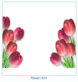 fiore cornice 414
