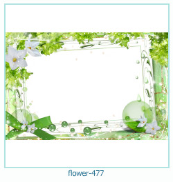fiore cornice 477