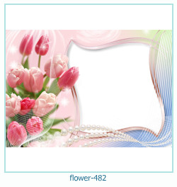 fiore cornice 482