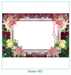 fiore cornice 487