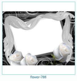 fiore Cornice 788