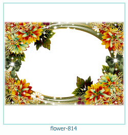 fiore cornice 814