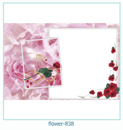 fiore Cornice 838