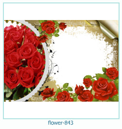 fiore Cornice 843