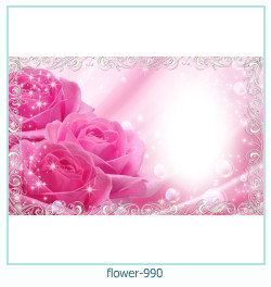 fiore cornice 990