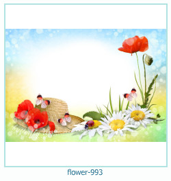 fiore cornice 993