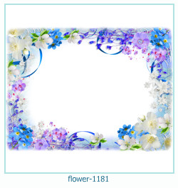fiore Cornice 1181