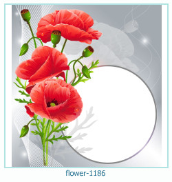 fiore Cornice 1186