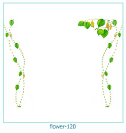 fiore cornice 120