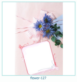 fiore cornice 127