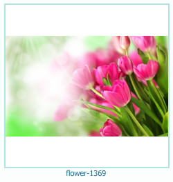 fiore Cornice 1369