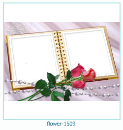 fiore cornice 1509