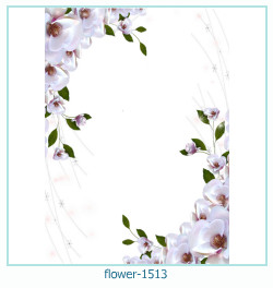 fiore cornice 1513