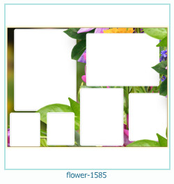 fiore cornice 1585