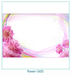 fiore cornice 1605