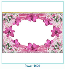 fiore cornice 1606
