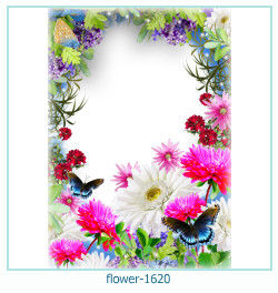 fiore cornice 1620