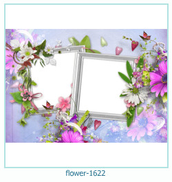 fiore cornice 1622