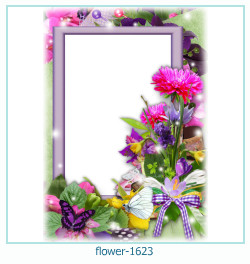 fiore cornice 1623