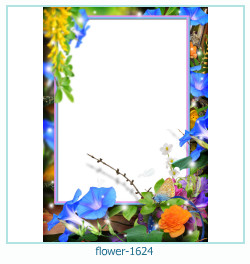 fiore cornice 1624