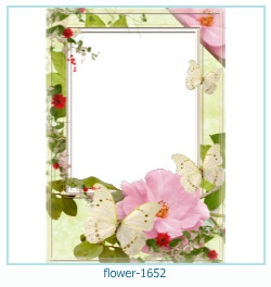 fiore cornice 1652