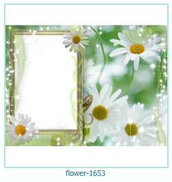 fiore cornice 1653
