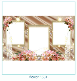 fiore cornice 1654