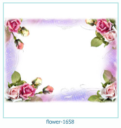 fiore Cornice 1658