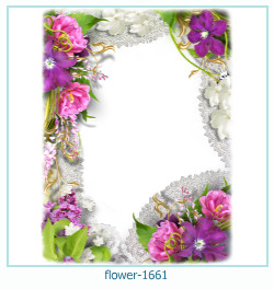 fiore cornice 1661