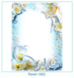 fiore cornice 1662