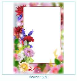 fiore cornice 1669