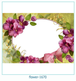 fiore cornice 1670