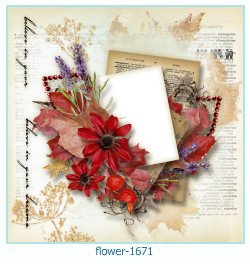 fiore cornice 1671