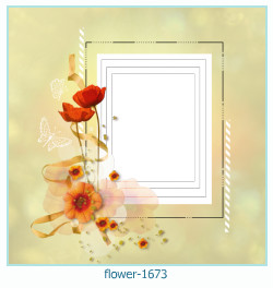 fiore cornice 1673