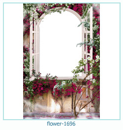 fiore cornice 1696