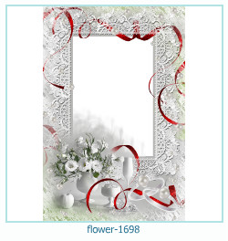 fiore Cornice 1698