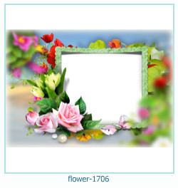 fiore cornice 1706