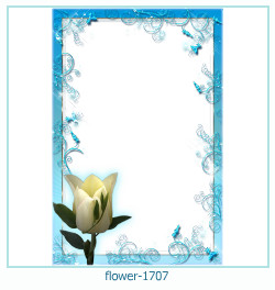fiore Cornice 1707