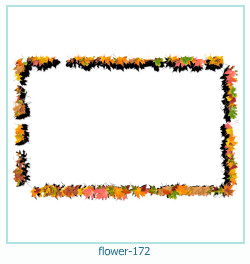 fiore cornice 172