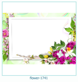 cornice per foto di fiori 1741