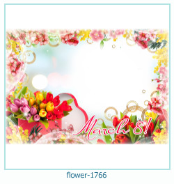 fiore cornice 1766