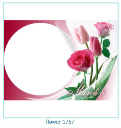 fiore cornice 1767