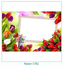 cornice per foto di fiori 1782